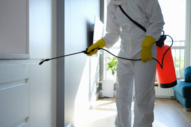 Best Residential Mold Removal  in North Decatur, GA