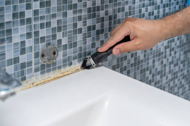 Best Emergency Mold Removal  in North Decatur, GA