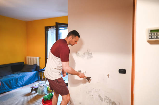 Best Local Mold Removal Service  in North Decatur, GA