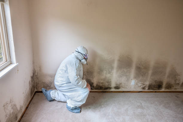 Best Mold Testing  in North Decatur, GA